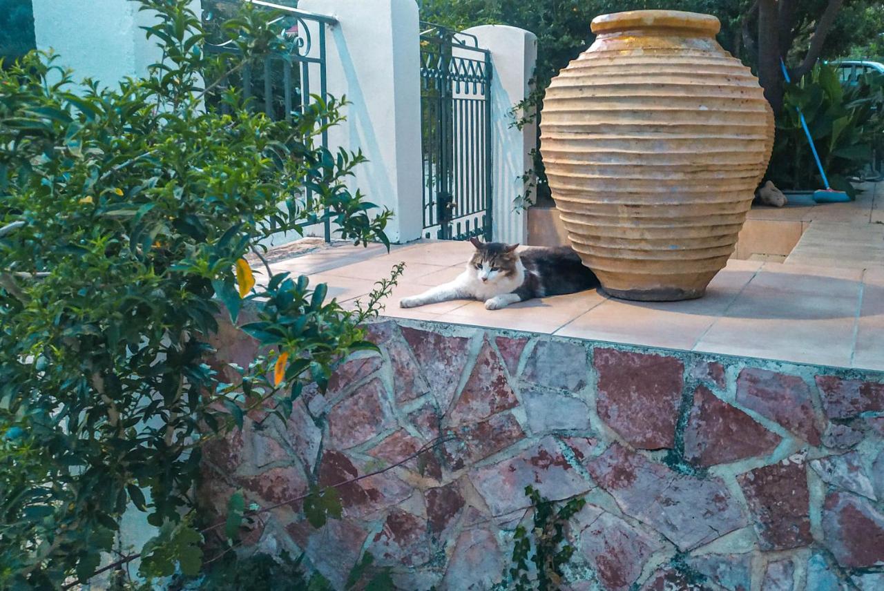 Vakantiehuis Thalia's Place Katelios